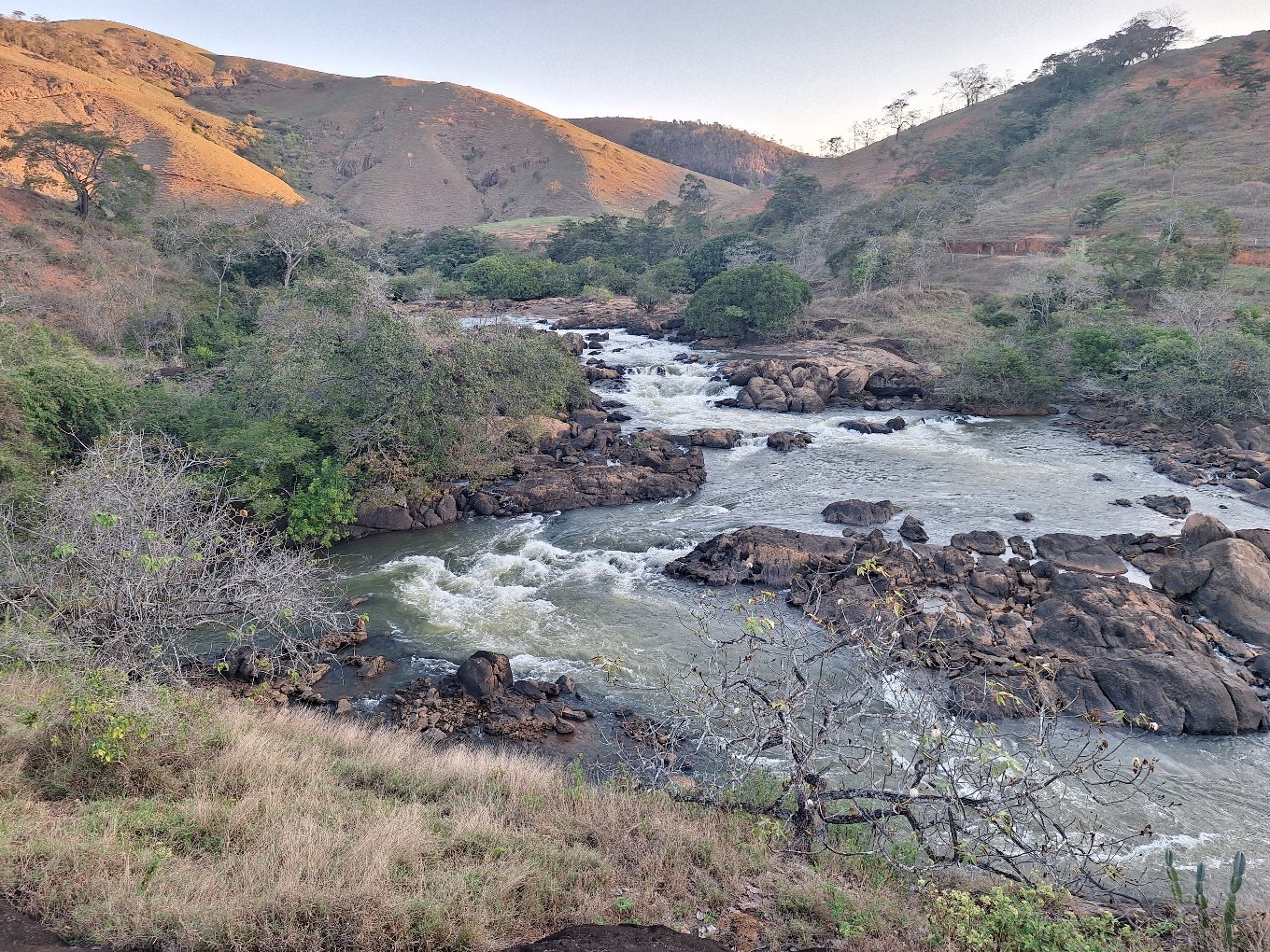 Floresta estacional semidecidual em ambiente de encosta no Espírito Santo