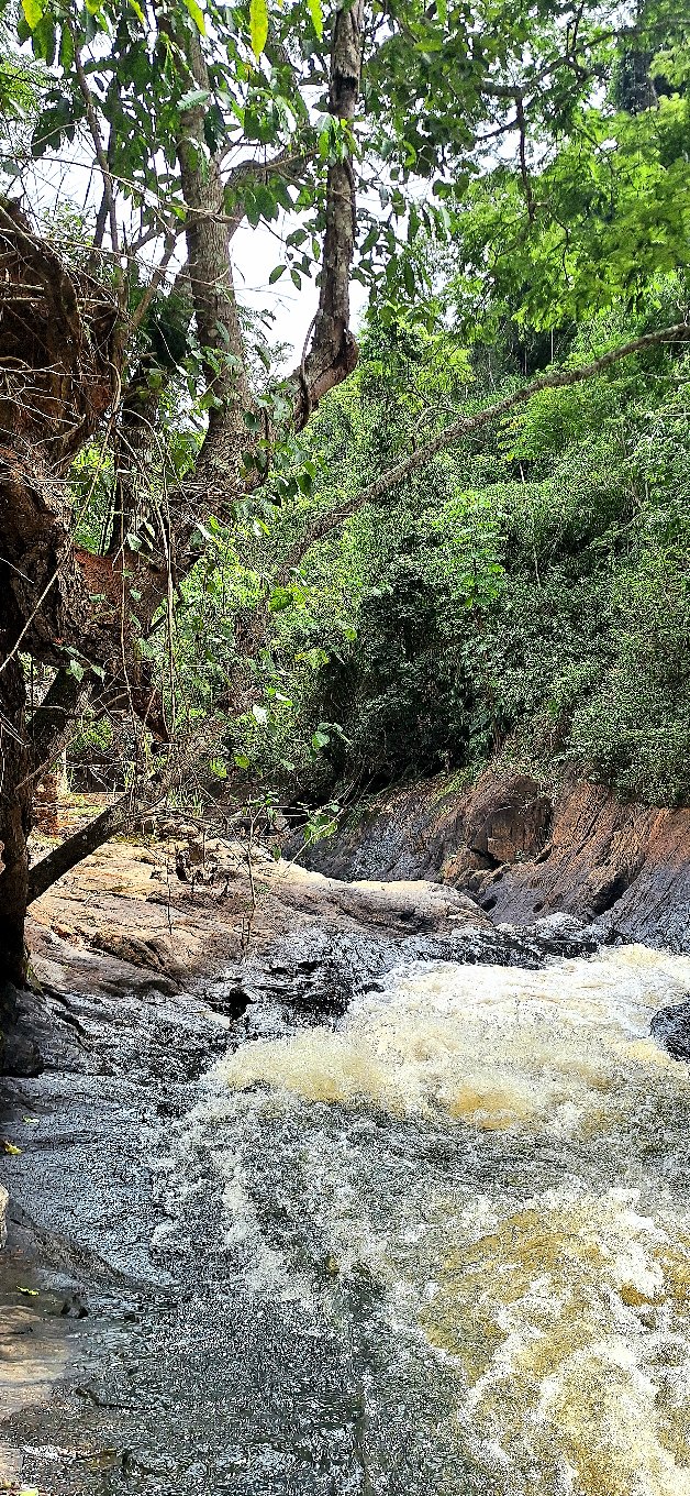 Curso d'água associado à vegetação ripária em paisagem rural